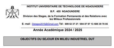 objectif de mise en stage